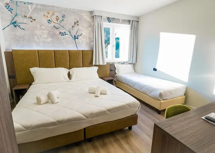 Hotel Vita فندق